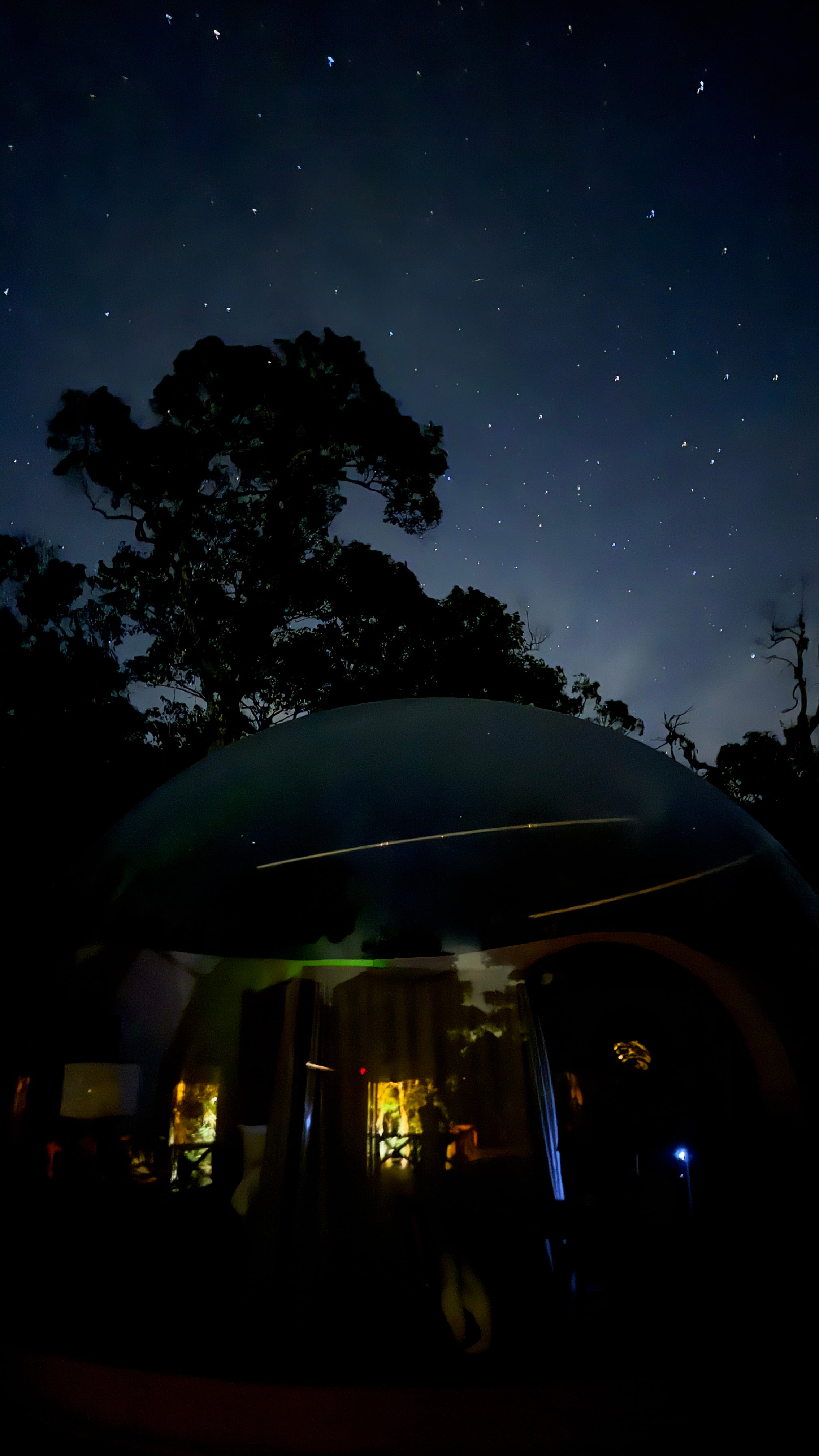Noite estrelada na Mata Atlântica